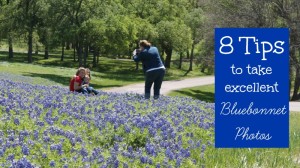 Tips to take Bluebonnet photos