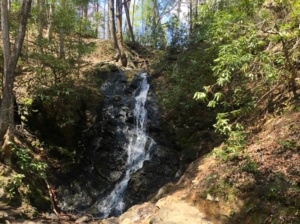 Great Smoky Mountains National Park Pigeon Forge