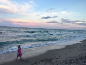 The Palm Beaches Florida