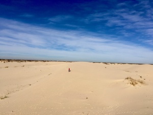 Monahans Sand Hills Park