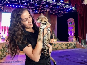 SeaWorld San Antonio