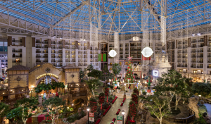 Gaylord Texan ICE!
