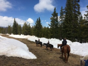 Horseback Riding in Breckenridge